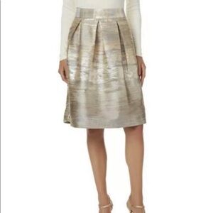 Simply Styled Gold Metallic Waist Skirt